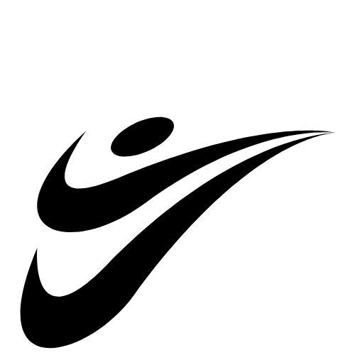 VolleyVault Logo